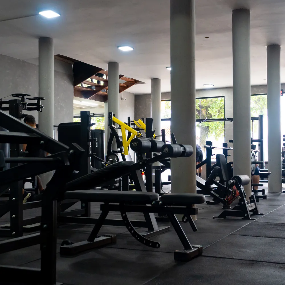 Estrutura da UTG